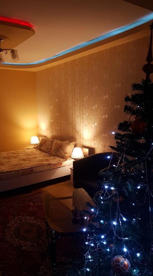 Near Center Apartment Petroşani